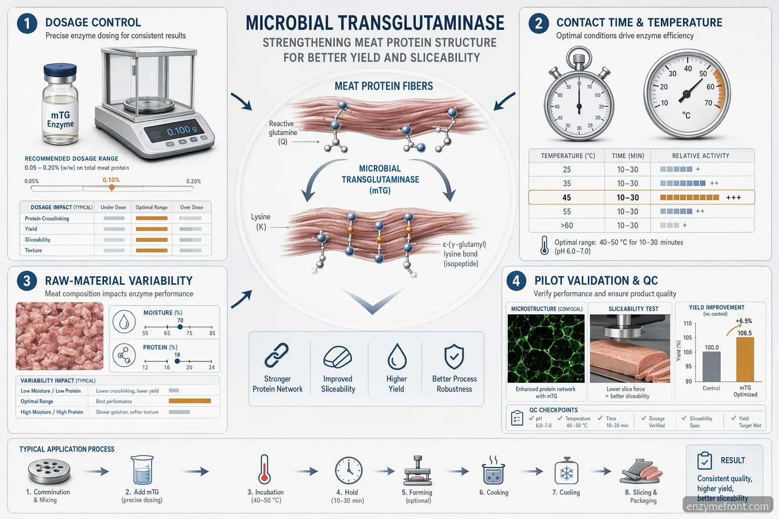 microbial transglutaminase meat processing formulations showing dosage, time, temperature, QC, and binding outcomes