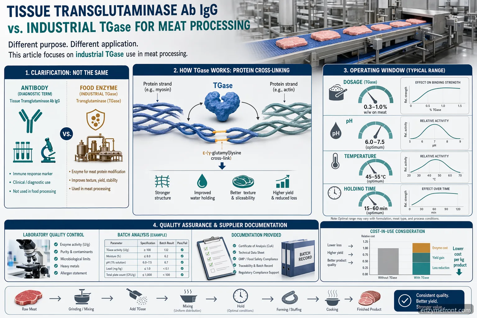 tissue transglutaminase ab igg meat processing infographic showing TGase dosing, binding, QC, and supplier checks