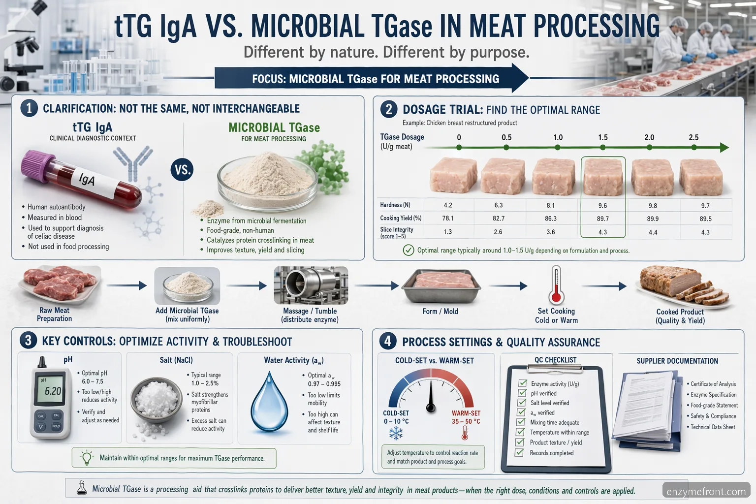 tissue transglutaminase iga meat processing guide, showing dosage, pH, temperature, QC, and supplier checks