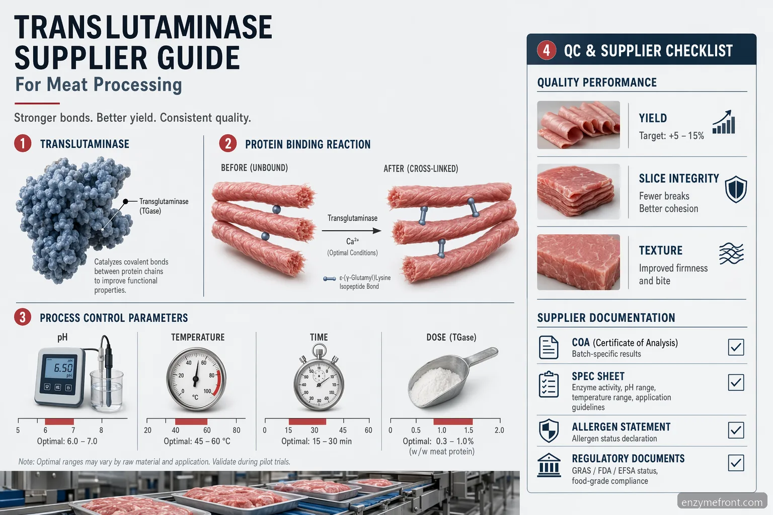 transglutaminase supplier guide for meat processing shows enzyme binding, process controls, QC, and supplier documents